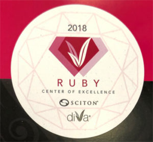 2018 Diva Ruby Excellence Award Small 2018 Diva Ruby Excellence Award Small